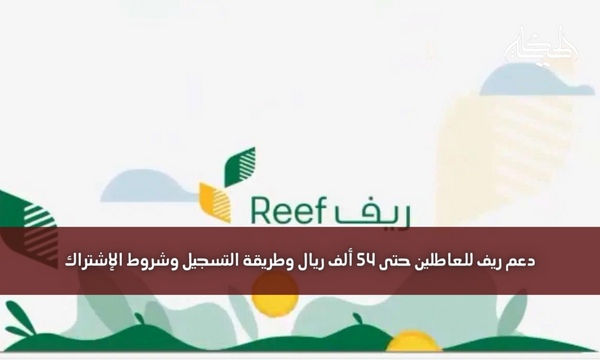 دعم ريف للعاطلين حتى 54 ألف ريال وطريقة التسجيل وشروط الإشتراك