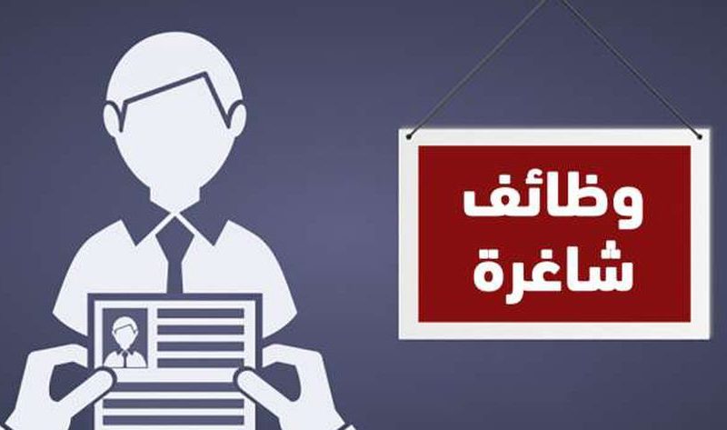 4 وظائف شاغرة برواتب مجزية وتأمينات.. اعرف التخصصات ورابط التقديم – أي خدمة