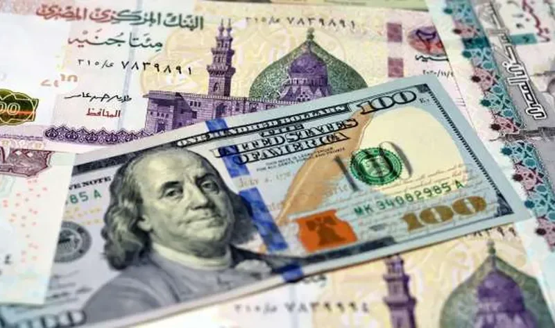 سعر الدولار اليوم الأحد أمام الجنيه في البنوك المصرية بالتعاملات المسائية – اقتصاد