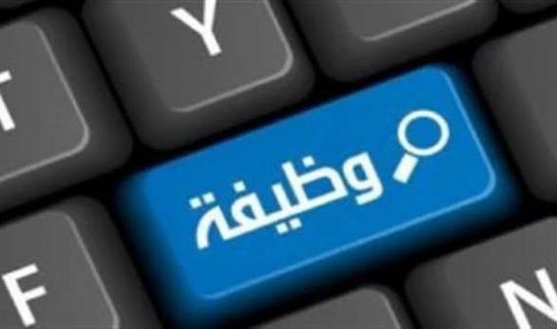 تفاصيل اليوم التوظيفي المفتوح للشباب.. «بمؤهل ودون مؤهل» – أي خدمة