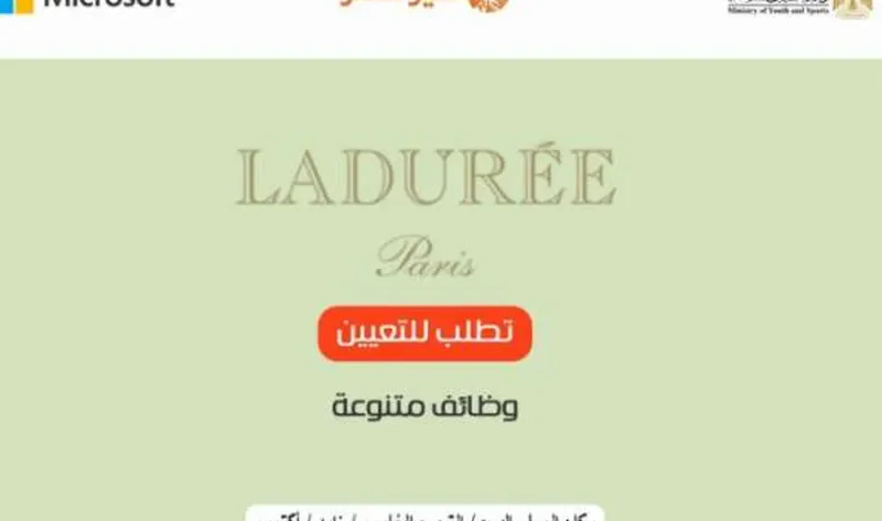 «الشباب» توفر وظائف عمل في سلسلة مطاعم إنترناشيونال.. بينها «مساعد شيف» – أخبار مصر