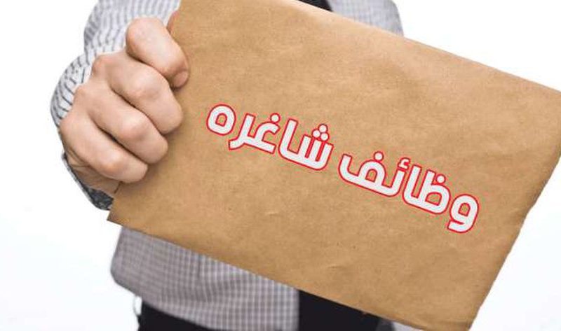 «التنظيم والإدارة» يعلن نتيجة القبول المبدئي لوظائف الأبنية التعليمية – أخبار مصر