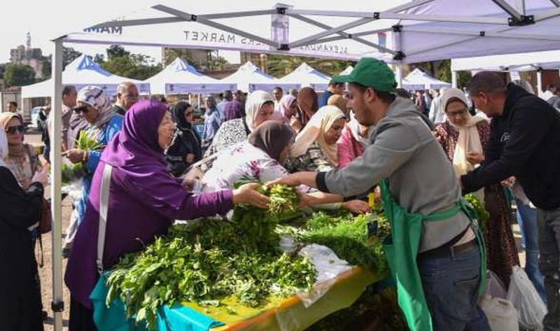 «خضار طازة وبخيره».. إقبال كبير على سوق المزارعين بالإسكندرية في موقعه الجديد – المحافظات