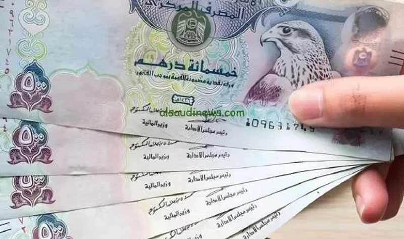 سعر الدرهم الإماراتي اليوم الثلاثاء 26-11-2024 في البنوك – اقتصاد