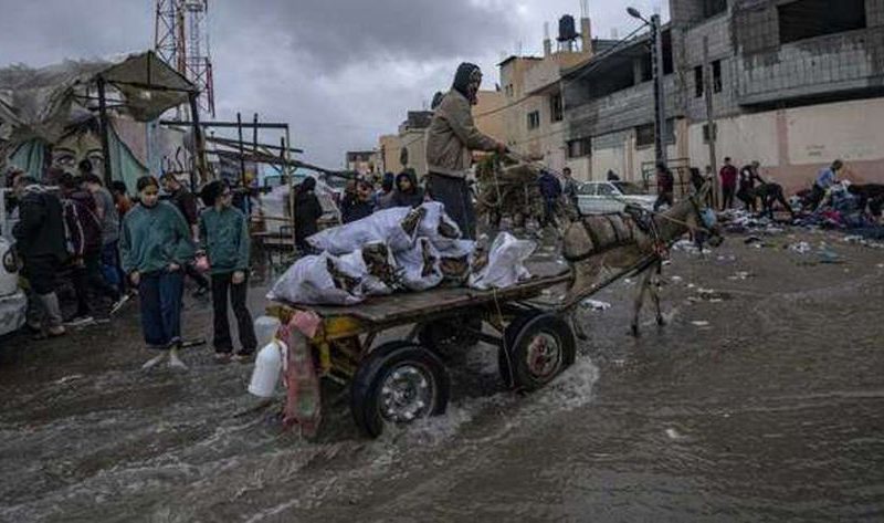 خبير سياسي: جهود مصر وقطر مستمرة للتوصل إلى اتفاق لوقف إطلاق النار في غزة – أخبار العالم