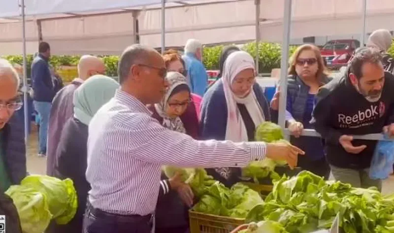 «الغرف التجارية»: حريصون على توفير السلع للمستهلكين بأسعار مخفضة – أخبار مصر